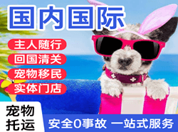 克拉玛依古海航空邮寄国际宠物托运 【国